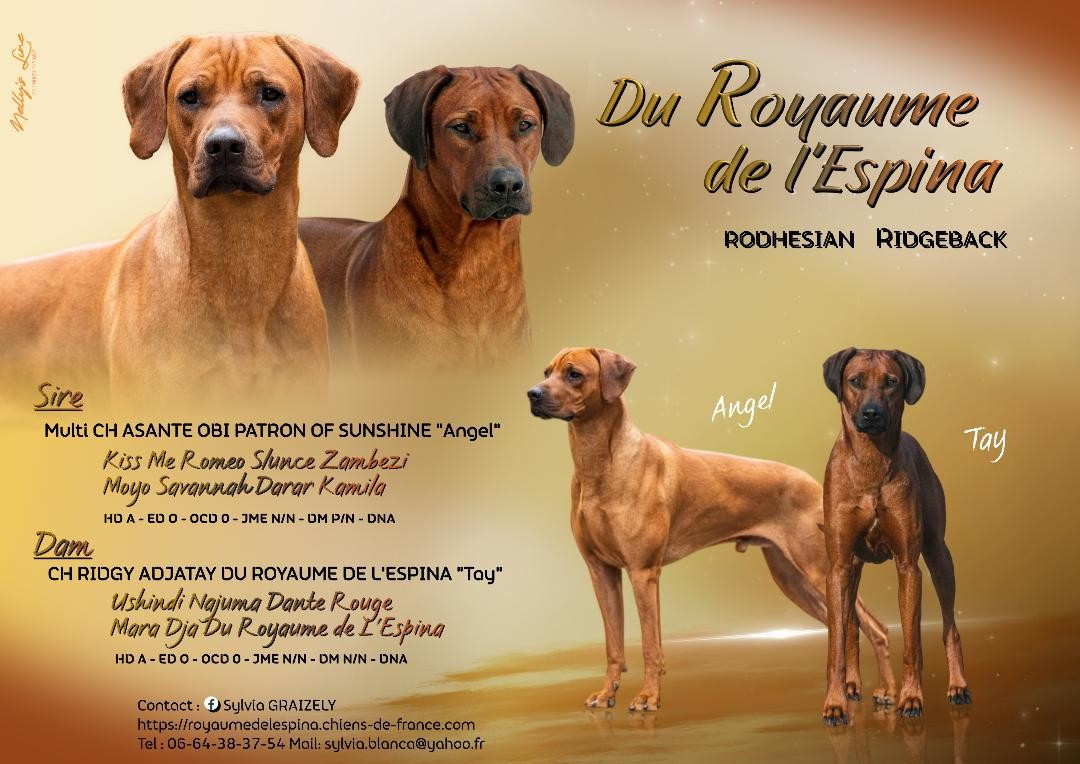 Mariage début 2026 !!!!!!!