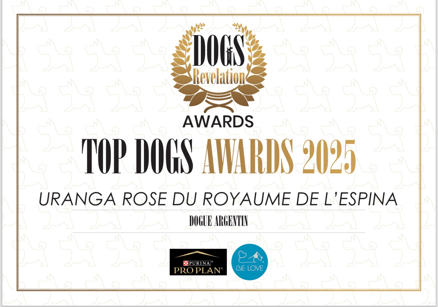 Rose ! Meilleur dogue argentin de France 2025 !!!!